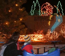 Zoo Lights at the Denver Zoo // © Denver Zoo